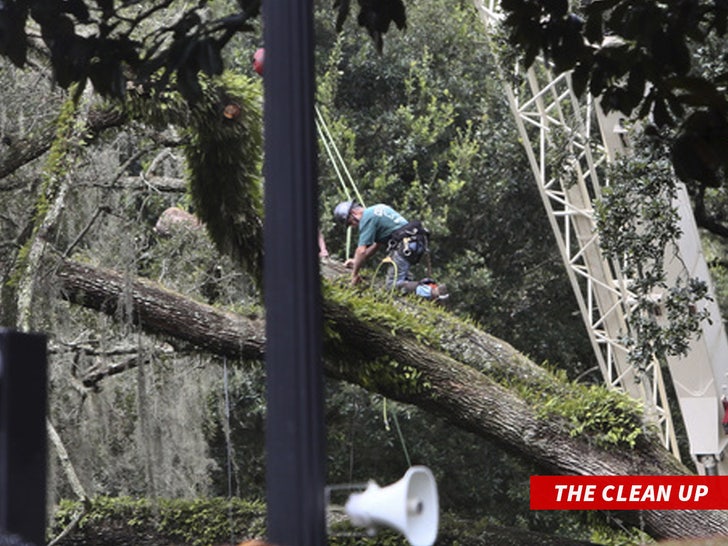 Ron DeSantis tree house cleanup