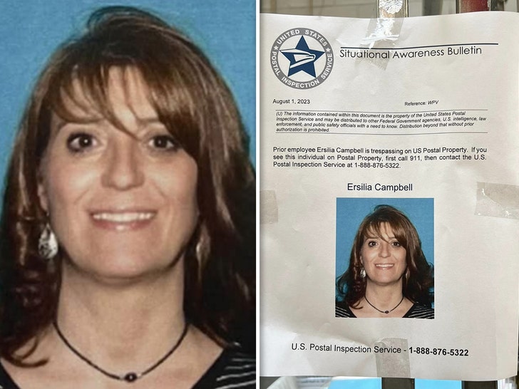 Ersillia Campbell us postal inspection service 2