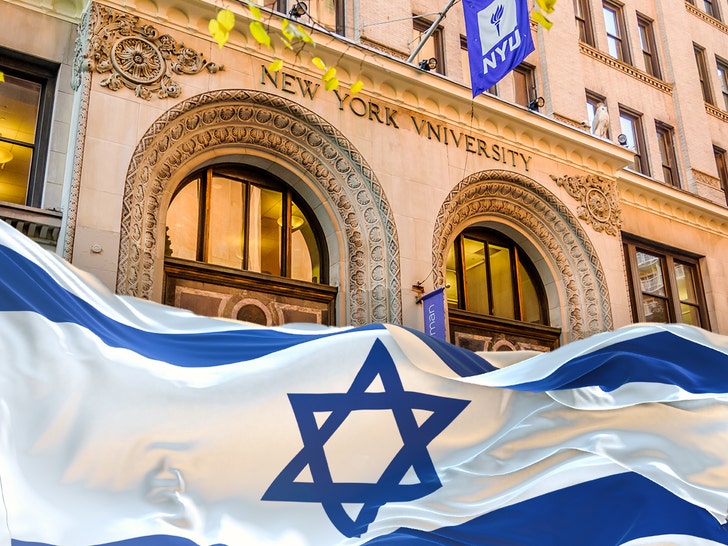 1894a81ed3b84eebb8676f8fe09def3e_md nyu