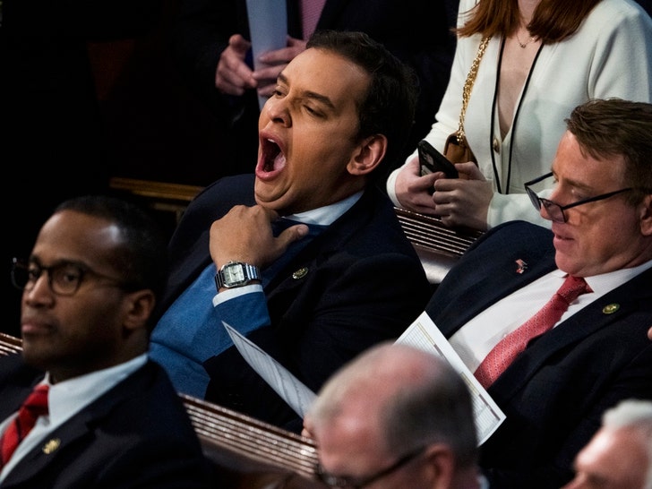 George Santos Hard At Work