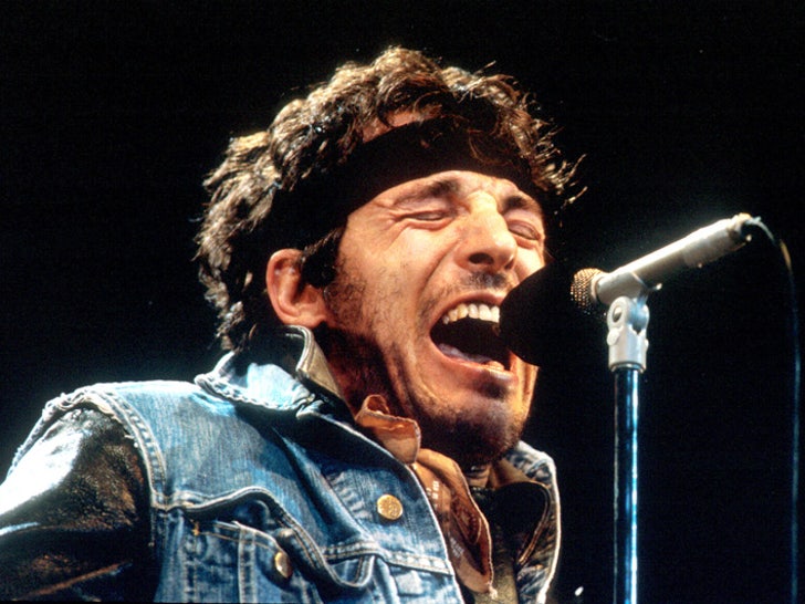 The Boss -- Bruce Springsteen Rock Photos