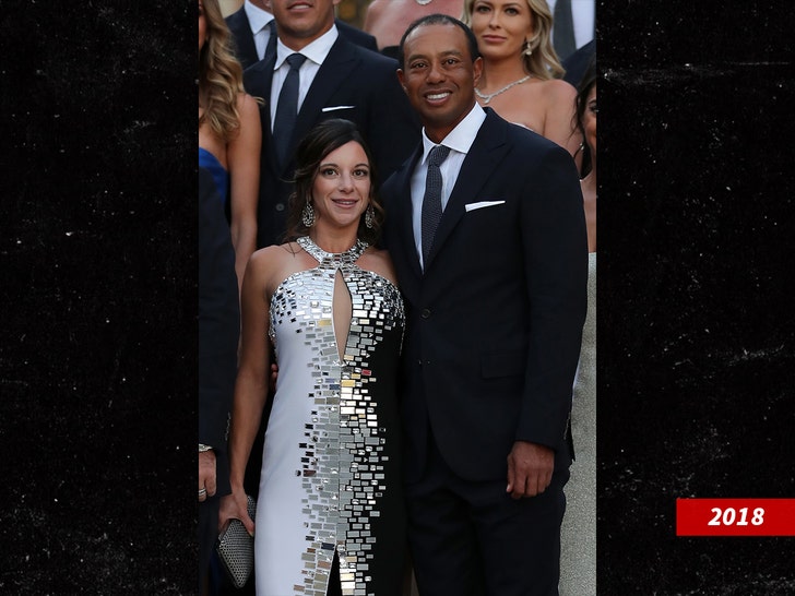 tiger woods ERICA HERMAN