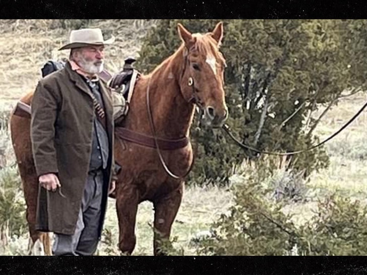 1cc2abd4325f433a90431fb40de2a0ac_md alec baldwin