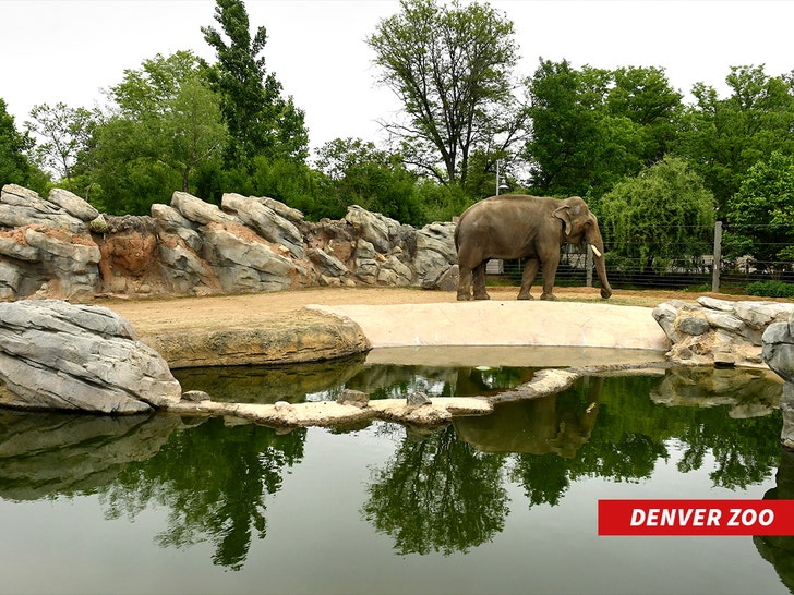 Denver Zoo