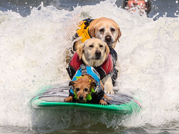 World Dog Surfing Championships 2023