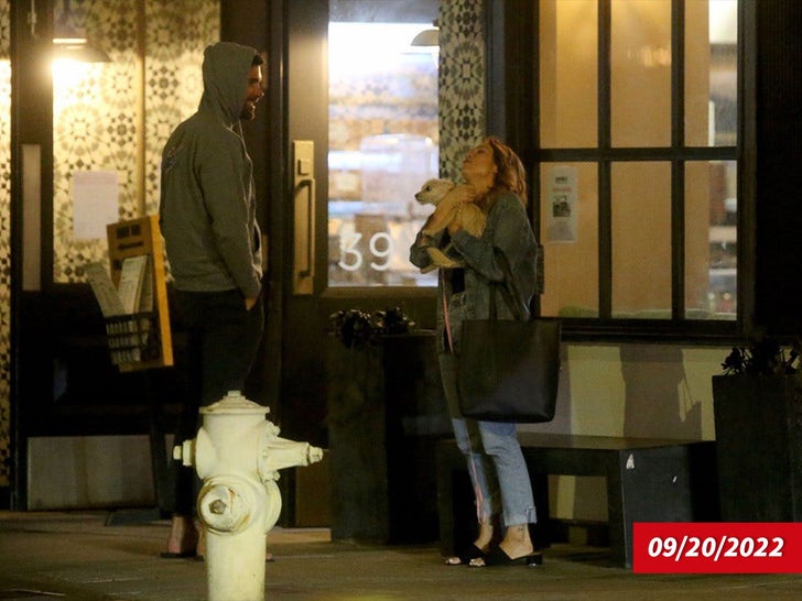 Brittany Snow and Tyler Stanaland's Dinner Date