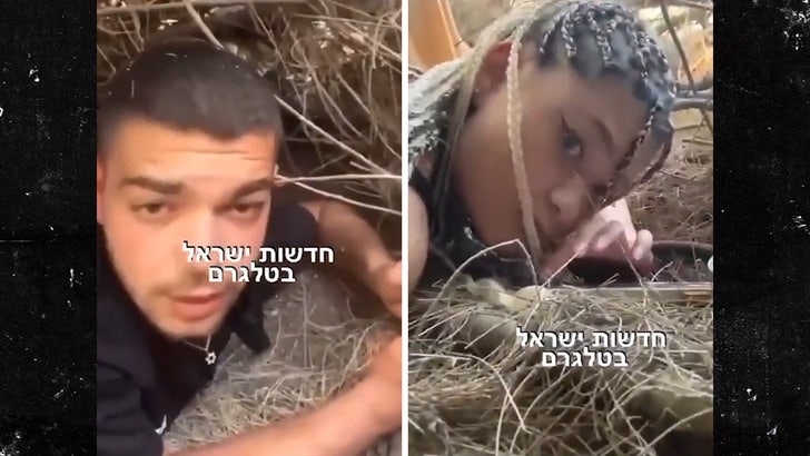 100923_hiding_bushes_kal