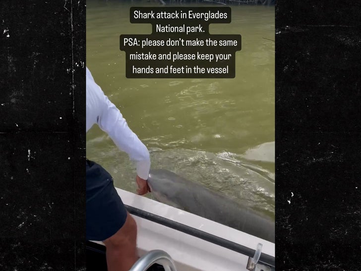 062623-everglades-shark-sub2