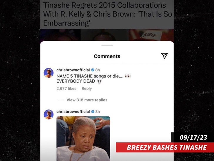 chris brown and tinashe beef insta