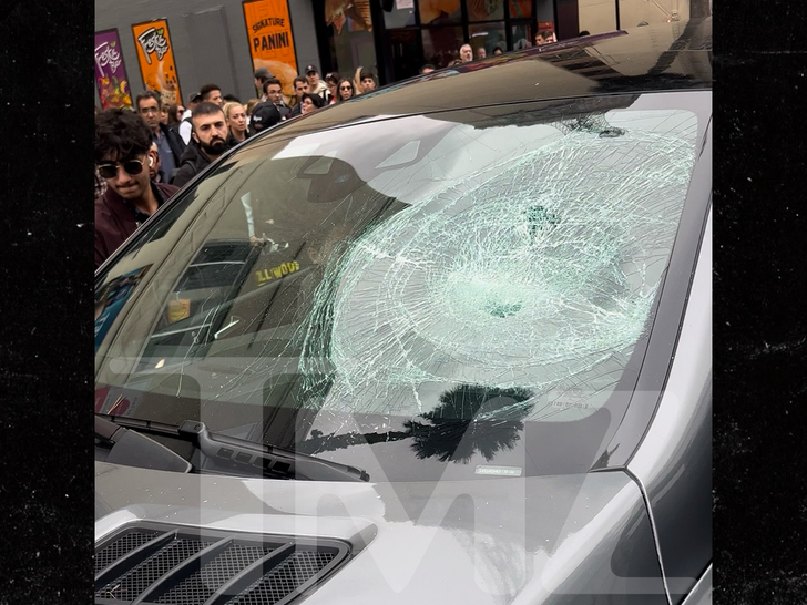 1fd9dc9e354446acacdab8c75369b238_md-2 ian ziering car smashed