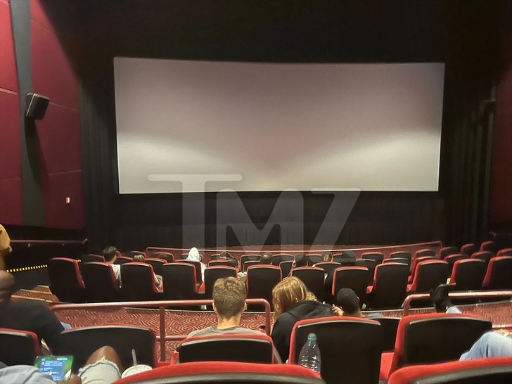 AMC Theater Emergency TMZ