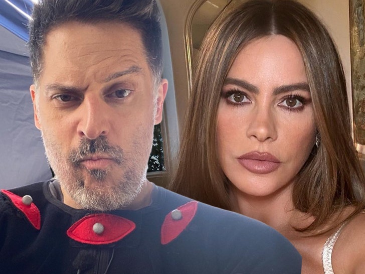 sofia vergara joe manginello