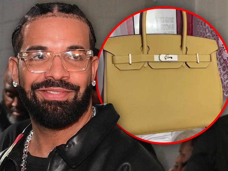 drake birkin bag