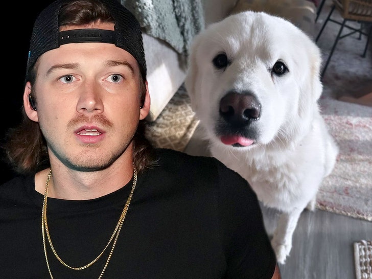 Morgan Wallen dog legend
