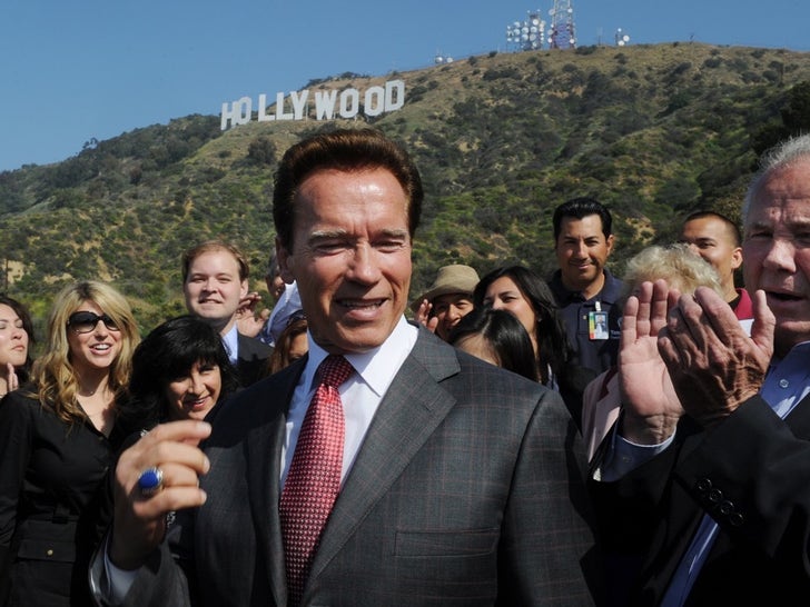 Stars Turned Politicians