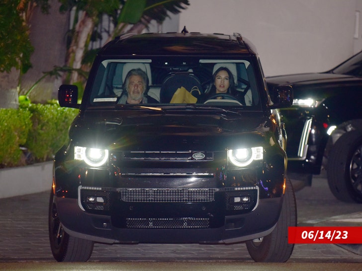 al pacino Noor Alfallah