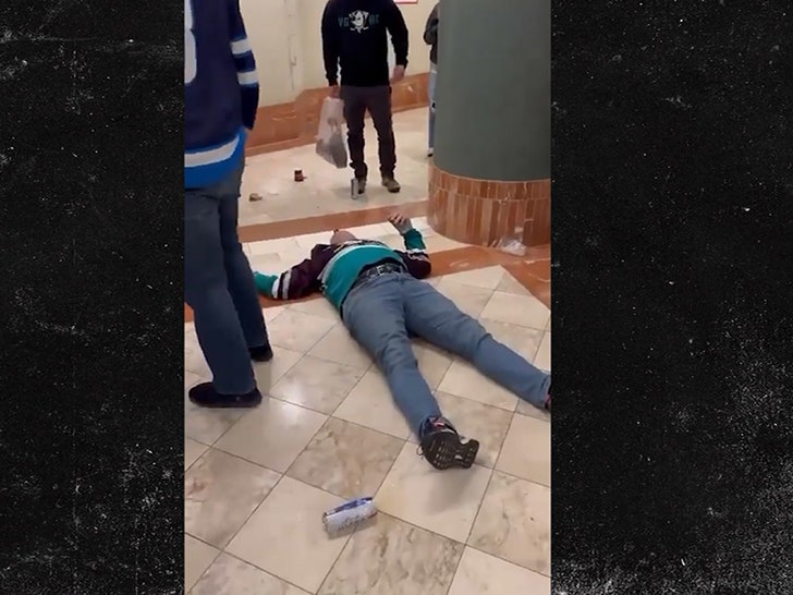 010824_anaheim_ducks_brawl_sg1y