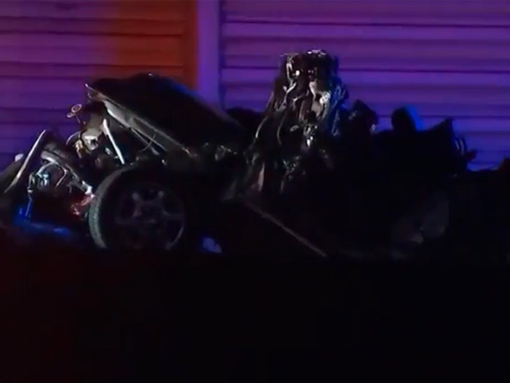 110623_black_panther_stuntman-Sg2