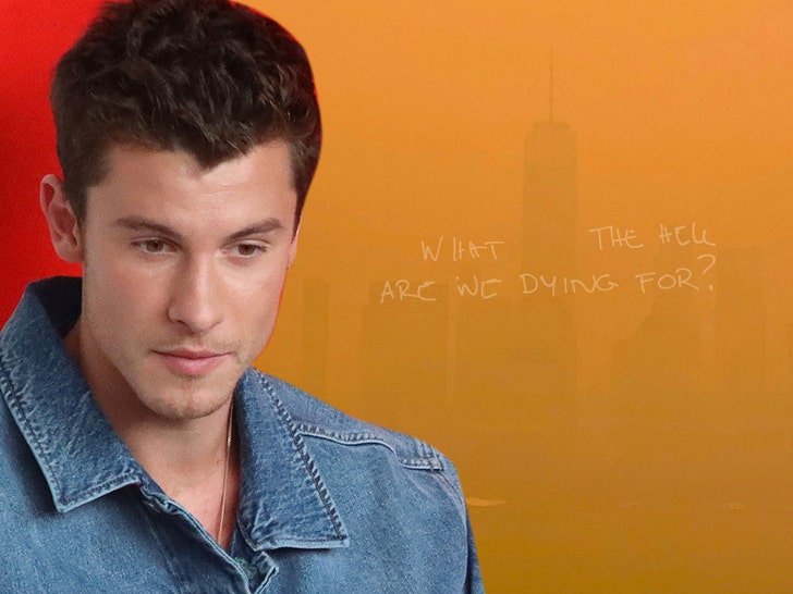 shawn mendez new york album art getty twitter 1