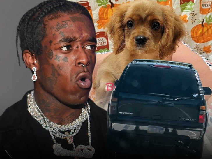 lil uzi vert stolen dogs car getty facebook 1