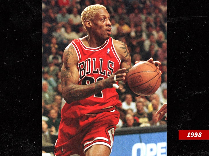 dennis rodman bulls