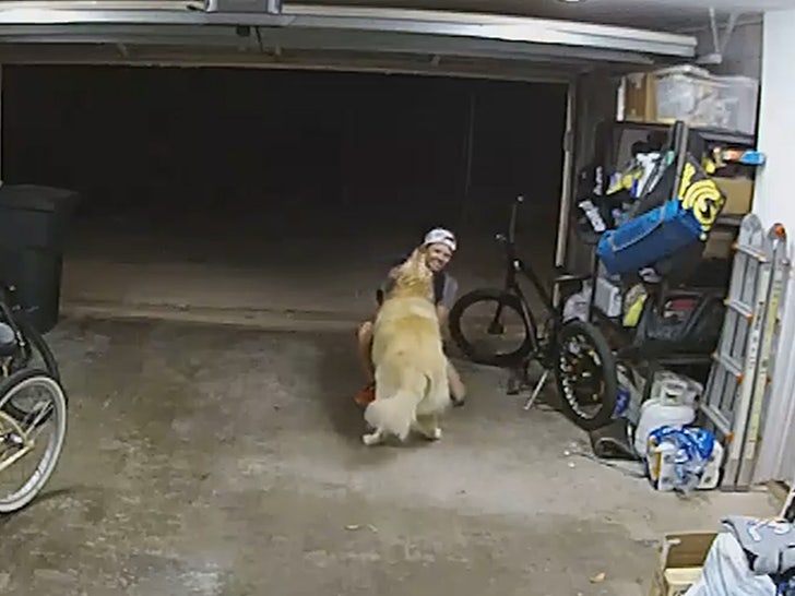 080523-bike-thief-dog-pets-primary-v4