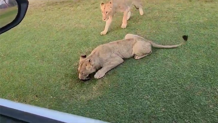 090723-lion-golf-course-sub-kal