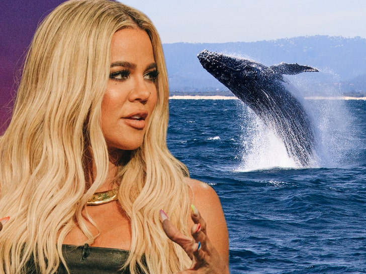 khloe kardashian whale getty 1