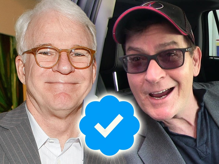 steve martin charlie sheen