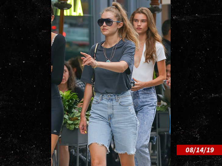 3934bddd5a814b89aa86a32d3f599988_md Meghan Roche and gig hadid