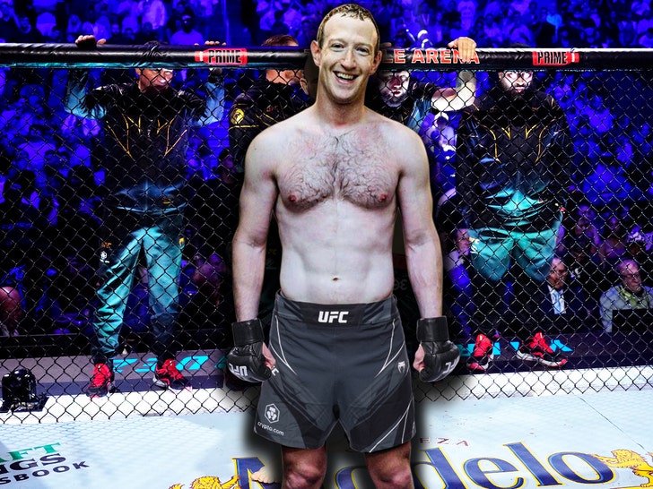 mark zuckerberg ufc fight fun art tmz getty 3