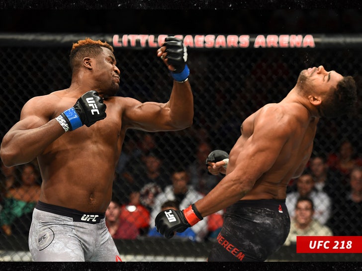 UFC 218: Overeem v Ngannou