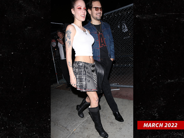 halsey and alev aydin