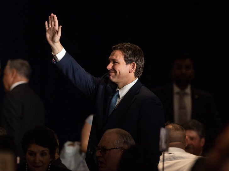 Ron DeSantis Political Pics