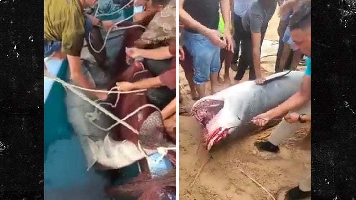 060923-egypt-shark-kal