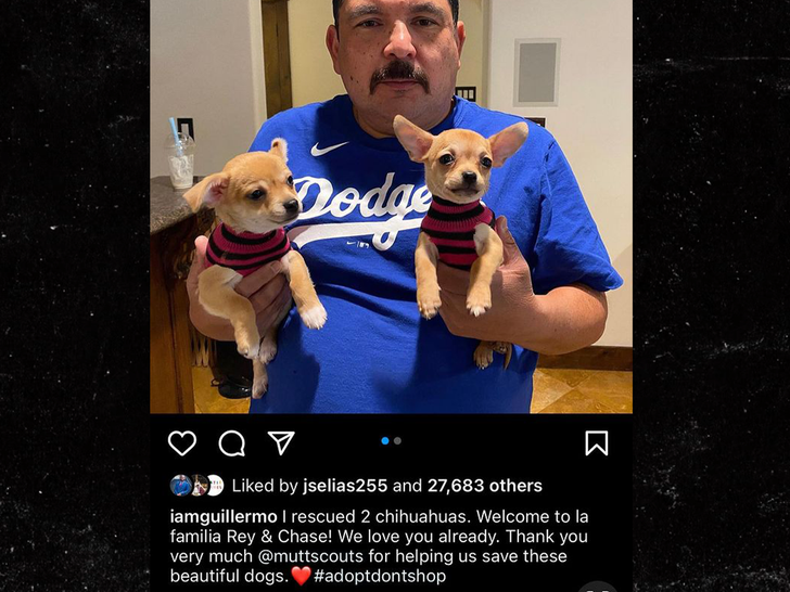 427570e205df41618e34932d80913c46_md guillermo rodriguez post when he adopted dogs
