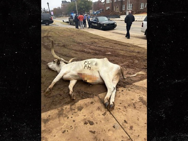 dead longhorn fraterinty house 3