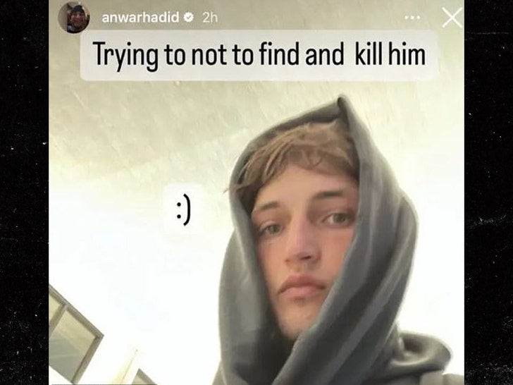 44bed3311f584420be3bf6f2d300fd3d_md anwar hadid insta