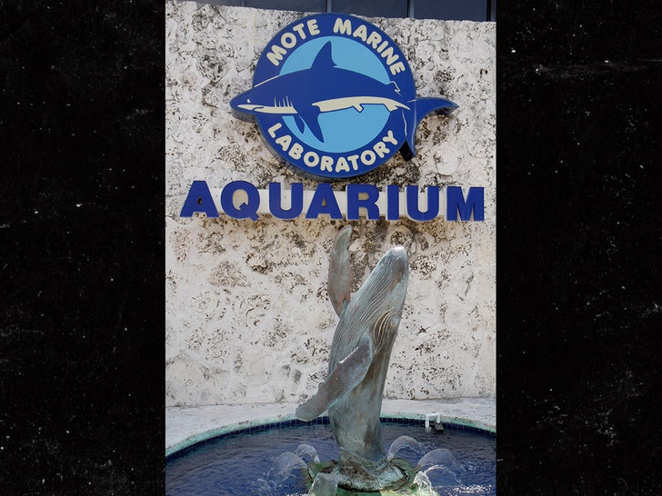 0728 Mote Marine Laboratory & Aquarium