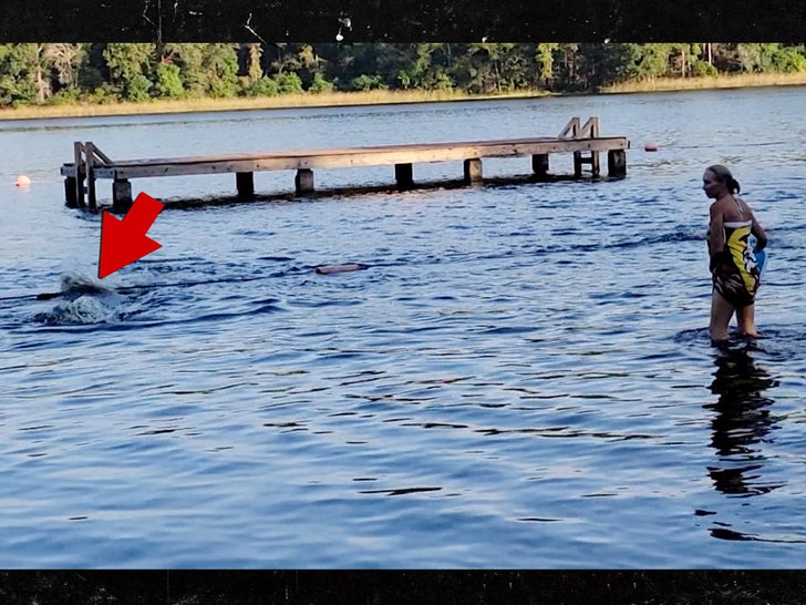 091423-alligator-sub3