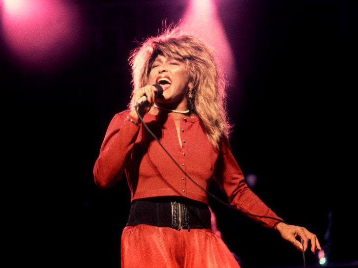 Tina Turner