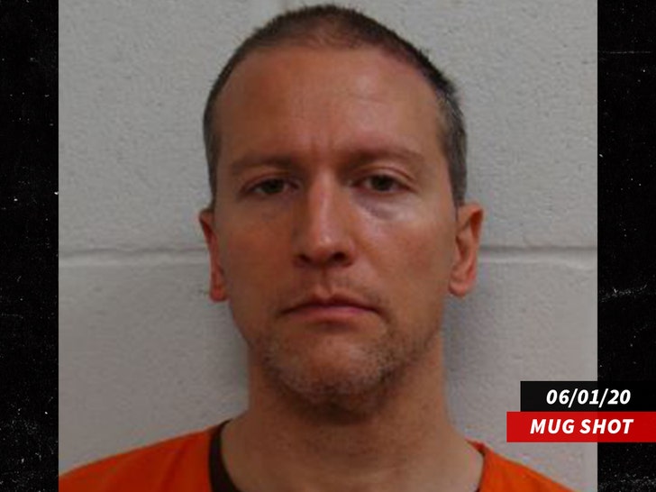 Derek Chauvin mug shot