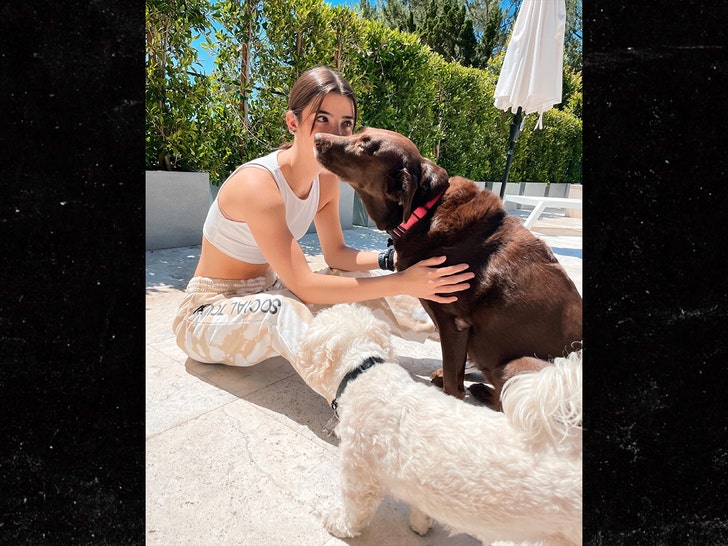 charli damelio and dog rebel insta 2