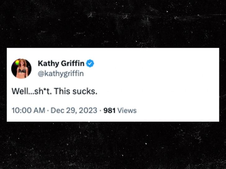 kathy griffin