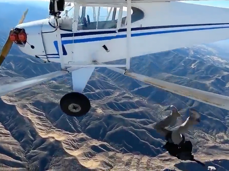 Trevor Jacob jumping out of plane