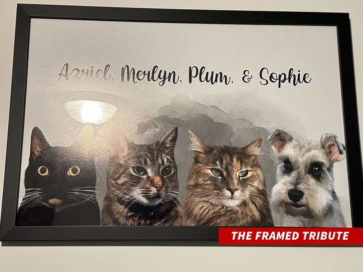 55cc1860e90f4ec1891f5784bd720a98_md The Framed Tribute