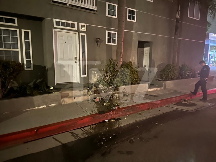 Shannon Beador Crash Scene Photos 2