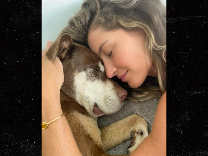 59270440a55d4da5840747a5c4836183_md gisele bundchen