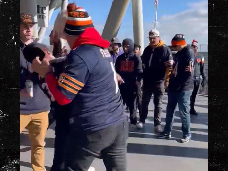 101623-bears-fight-1