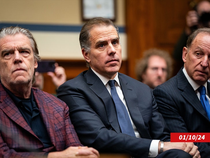 59e3d2a0297145679158134a9d1352e6_md hunter biden